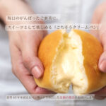 202103_ごちそうクリームパン楽天サブ